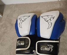 Boxing Gloves (sparing)