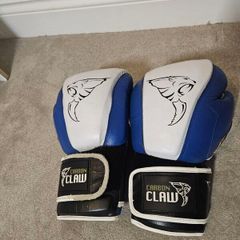 Boxing Gloves (sparing)