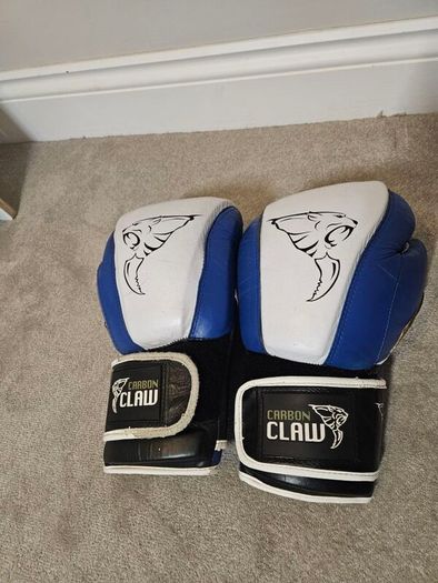 Boxing Gloves (sparing)