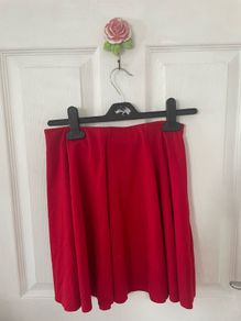 Red skater skirt