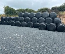 Top quality Haylage for sale