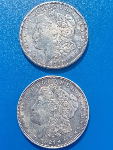 Morgans