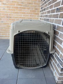 dog house / kennel