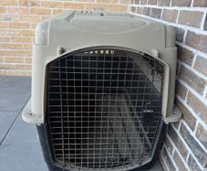 dog house / kennel