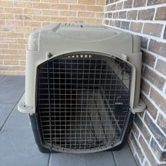 dog house / kennel