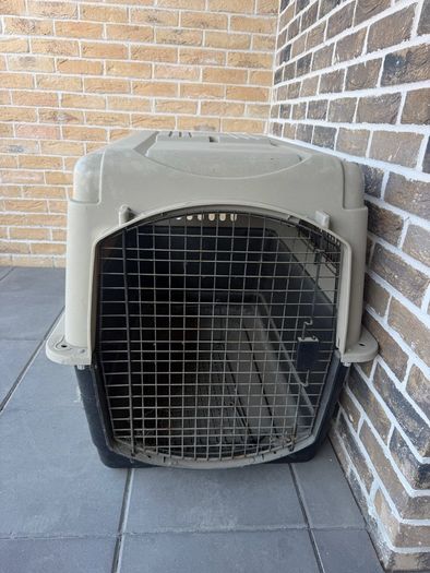 dog house / kennel