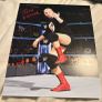 Wrestling autographs Image 10