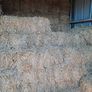 small square bales straw Image 4