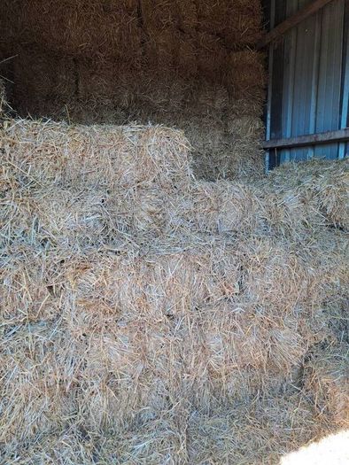 small square bales straw