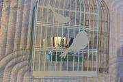 Beautiful Glass Bird Tealight holder