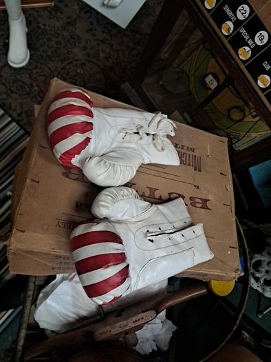 Vintage 10oz Boxing Gloves