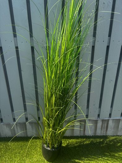 Artificial plants
