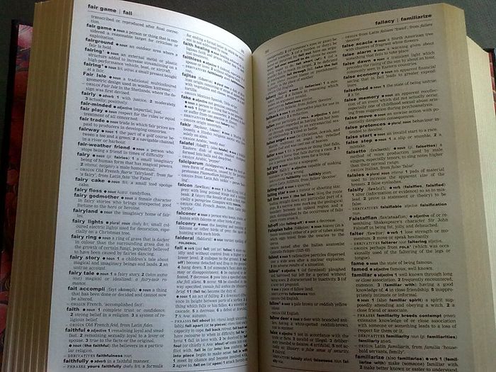 Dictionary &Thesaurus 4 volume matching set