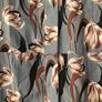 Ladies Dress shirt type Image 2
