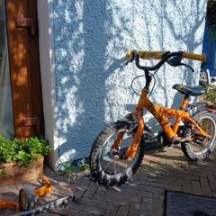 boys 14 inch bicycle with stabilisers and balance buddy