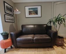 Brown leather couch