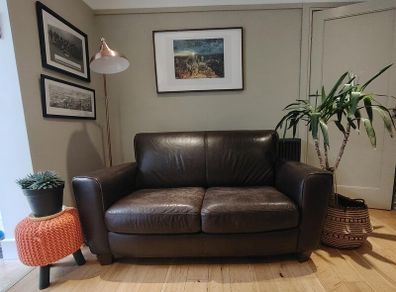 Brown leather couch