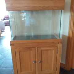 Fish / Turtle tank
