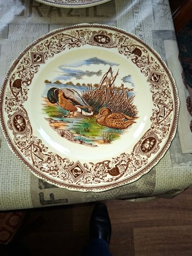 Beautiful 4 Old Masons Game Birds Plates, Enthusiasts and collectors Postage Available or Collection,