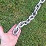 chain Image 3