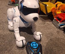 Robot dog