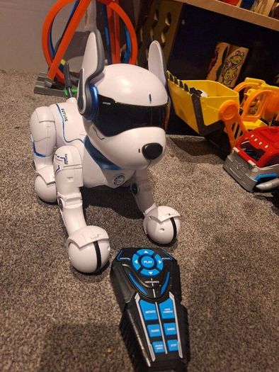 Robot dog