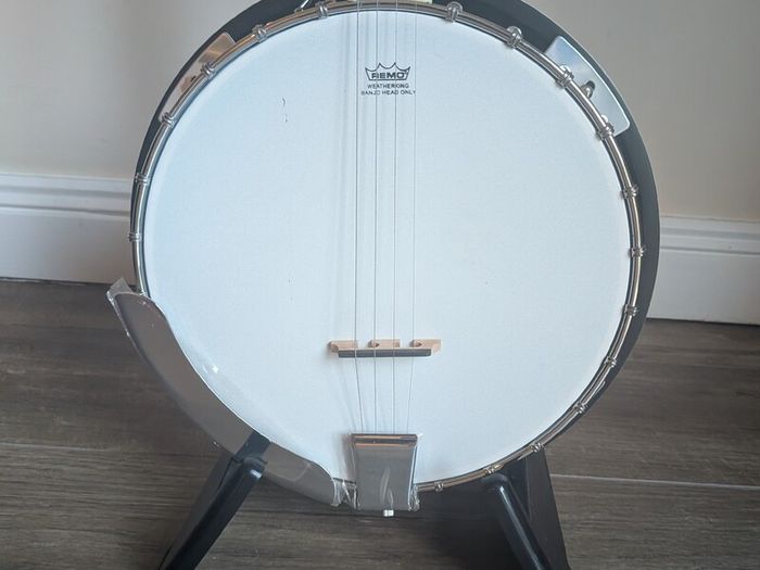 Banjo with padded gigbag