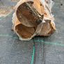 Oak handrail Image 7
