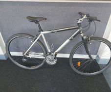 Giant Central Park (Marathon Plus Tyres)