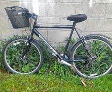 bicycle mens