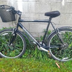bicycle mens