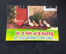 Ireland Postcard : Follow The Leader , A John Hinde Humorist Postcard
