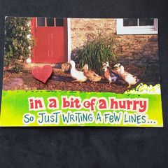 Ireland Postcard : Follow The Leader , A John Hinde Humorist Postcard