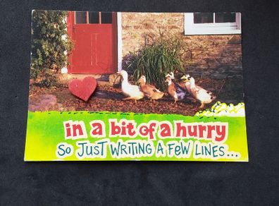 Ireland Postcard : Follow The Leader , A John Hinde Humorist Postcard