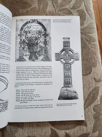 You Can Say That Again. Common Prayer In The Church Of Ireland. By Hilary Pyle. First Edition Large Volume Paperback In Good Condition.