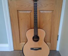 Guitar (JN) & case