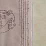 Devendra Banhart CD - Rejoicing In The Hands Image 2