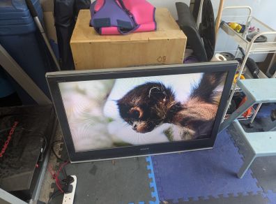 40 inch Sony Bravia Tv