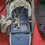 uppababy Image 4