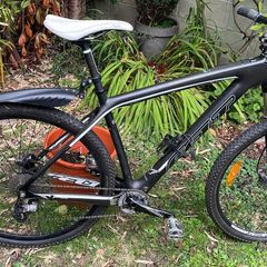 Felt Nine 3 Carbon MTB