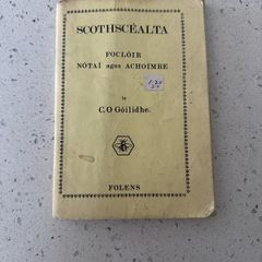 Scothscealta Focloir Notai agus Achoimre