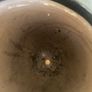 Brown Ceramic Plant Pot Image 2