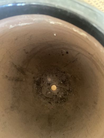 Brown Ceramic Plant Pot