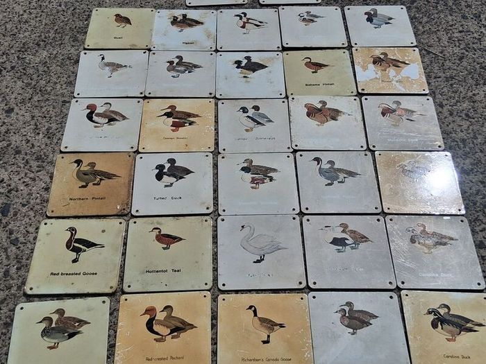 37 X Mid Century Avian Metal Display Plaques