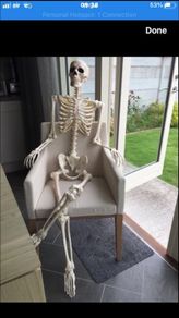 Skeleton posable