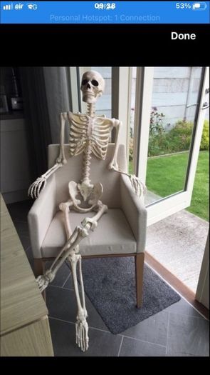 Skeleton