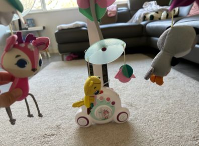 Tiny Love Soothe n Groove Mobile