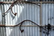 Antique cast iron horse trap springs