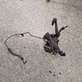 Range Rover Classic 4 Bolt power steering box Image 3