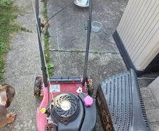 petrol lawnmower